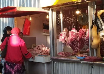 harga daging sapi