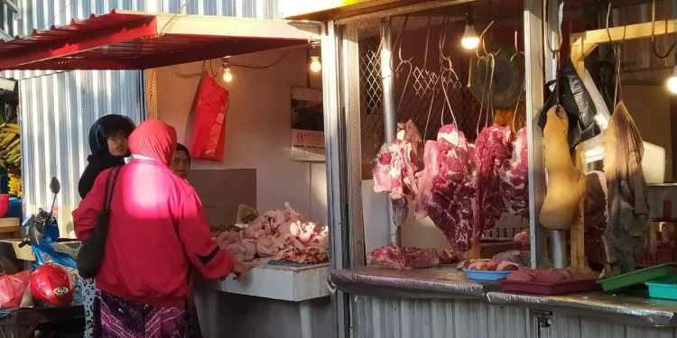 harga daging sapi