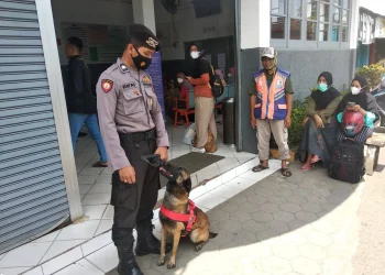 arus mudik