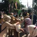 Wali Kota Malang Distribusi program pangan