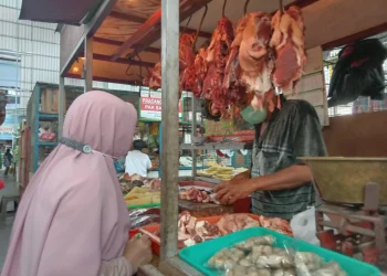 Daging sapi meningkat