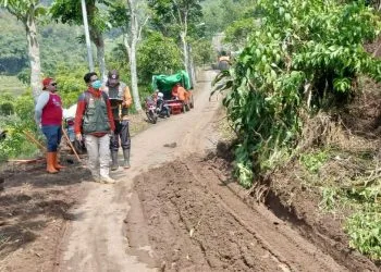 Lahan pertanian