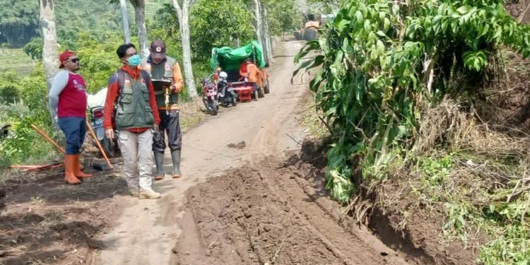 Lahan pertanian