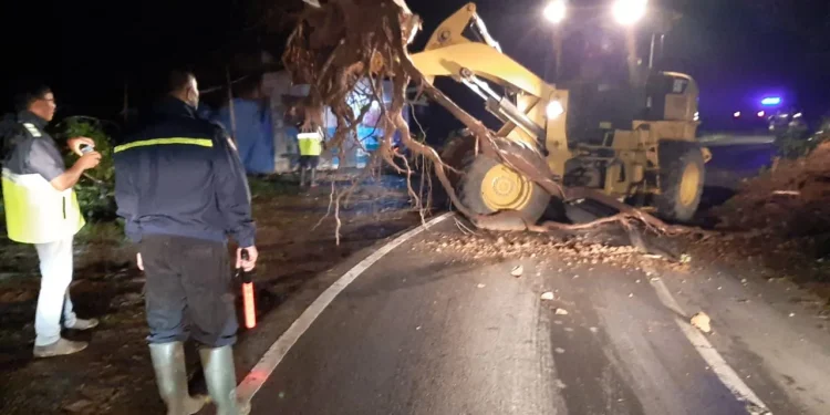 Tanah longsor tutupi jalan provinsi