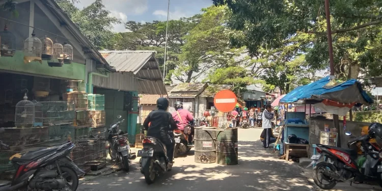 Jembatan Splindid