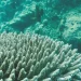 pantai tiga warna