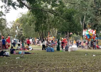 alun-alun kota malang