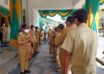 asn pemkot malang