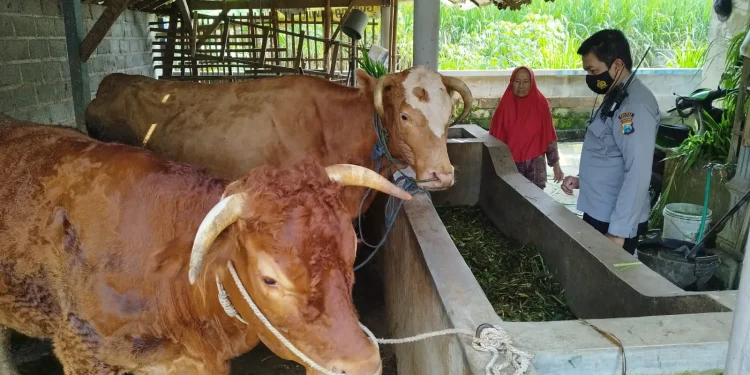 dinas peternakan kabupaten malang