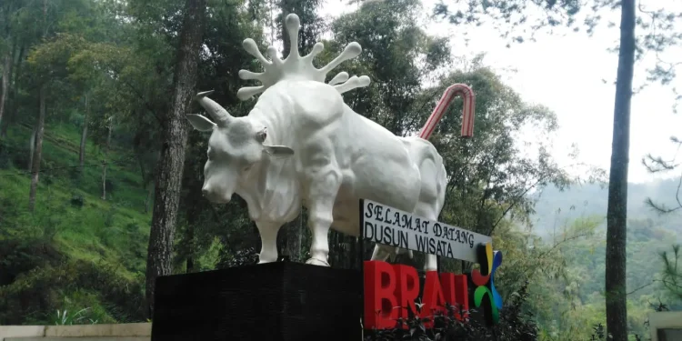 dusun brau