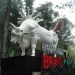 dusun brau