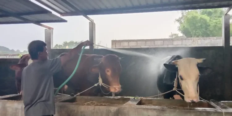 Dispangtan Kota Malang