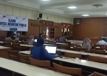 ujian profesi akuntan publik