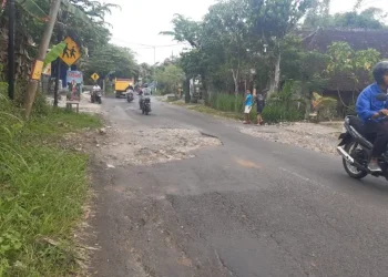 pemkab malang