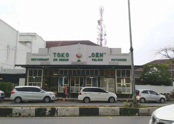 penebangan pohon