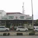 penebangan pohon