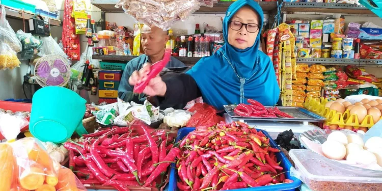 harga cabai