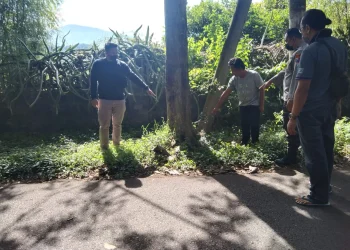 Polisi melakukan olah TKP buang bayinya