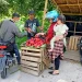 Pedagang jambu bol