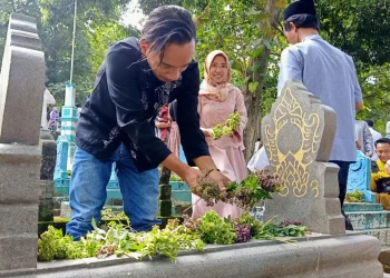 Bunga Selasih untuk tabur bunga ke makam