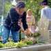 Bunga Selasih untuk tabur bunga ke makam