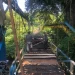 Jembatan gantung pisang candi