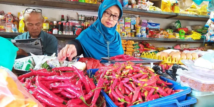 harga cabai