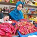 harga cabai