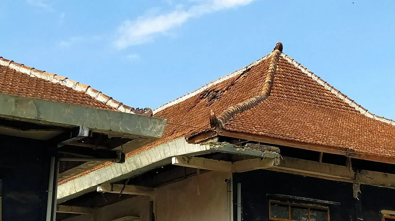 gedung kesenian mbatuaji