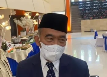 wabah pmk