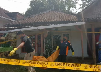 Petugas menggotong mayat nenek korban pembunuhan