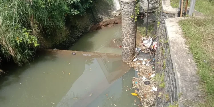 bangkai ikan