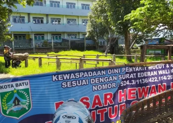 pasar hewan