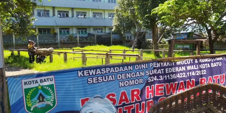 pasar hewan