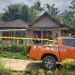 pembunuhan nenek di karangploso