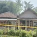 kasus pembunuhan nenek