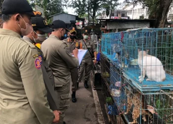 Satpol PP hanya bisa mendata Satwa yang diperdagangkan