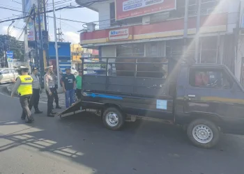 cegah wabah PMK Periksa pengangkut hewan sapi