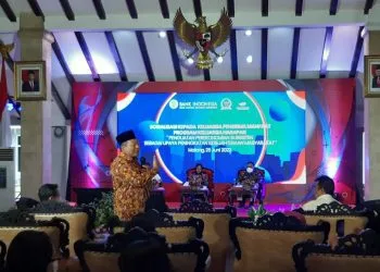 Pengurusan UMKM tidak bayar