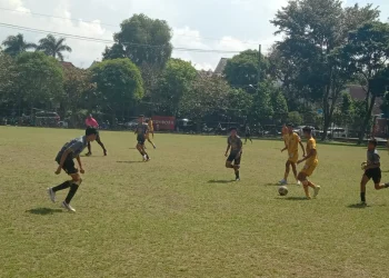 bhayangkara fc