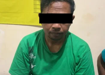 penusukan di wagir