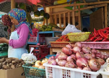 bawang merah