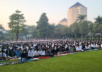 universitas brawijaya