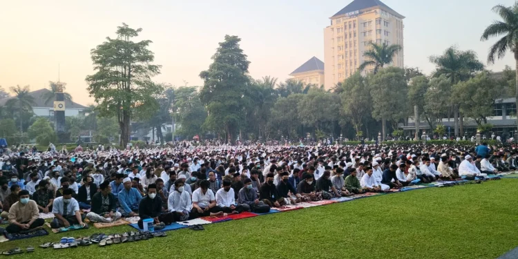 universitas brawijaya