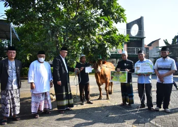 Unisma Salurkan Hewan Kurban