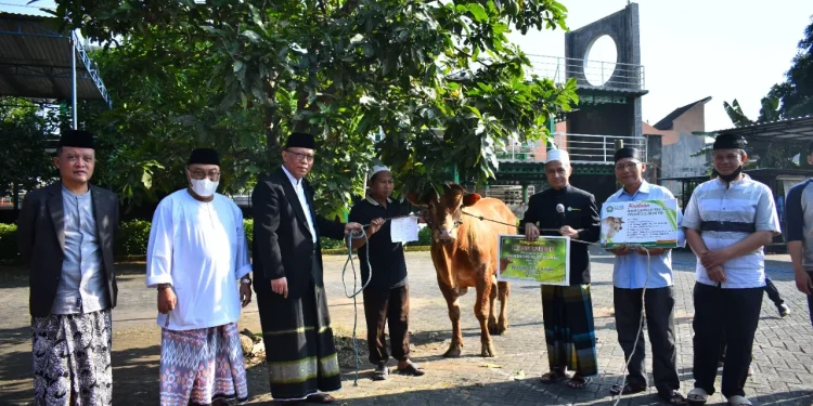 Unisma Salurkan Hewan Kurban
