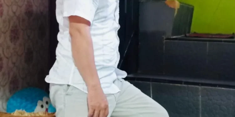 melukis