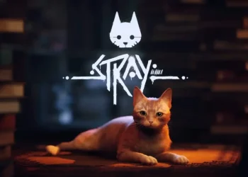 stray