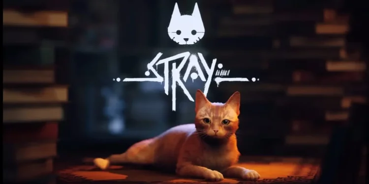 stray