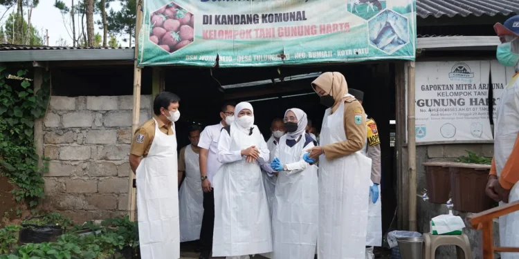 vaksin PMK